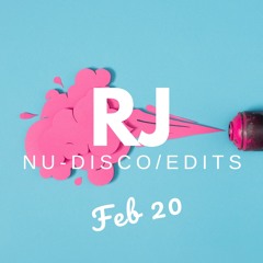 RJ Nu-Disco/Edits Mix February 2020