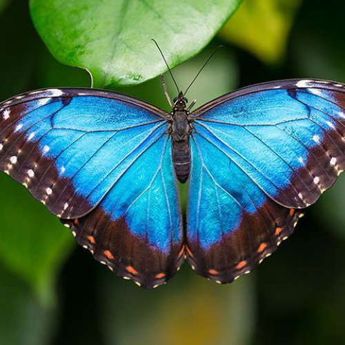 Interlude: An Imagined Archipelago Rediscovered