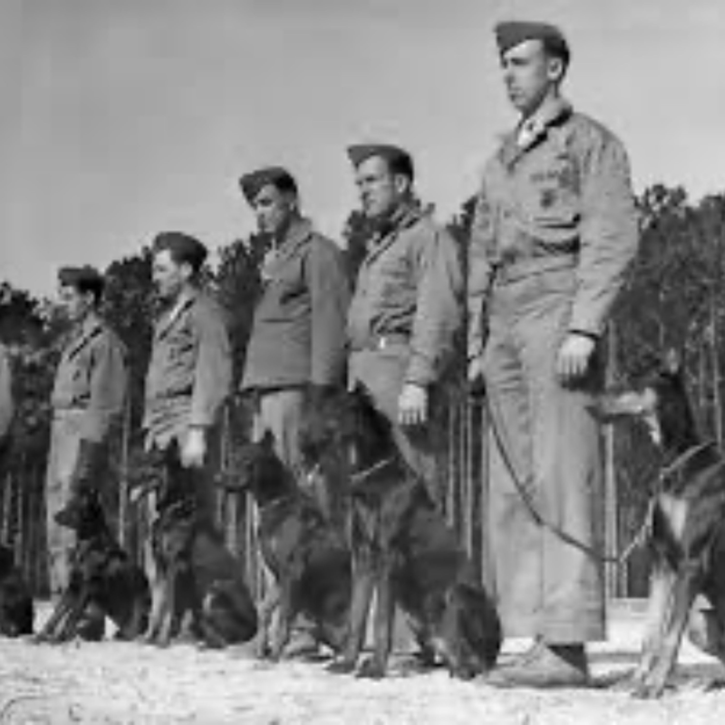 Episode 417 - The Time the US Army Tried to Train Racist Attack Dogs Ft. Gregk Foley