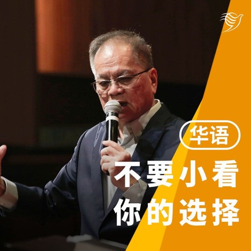 不要小看你的选择（华语）29/12/2024