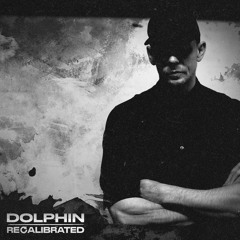 Dolphin - Recalibrated (PRSPCT274)Out on 12th August