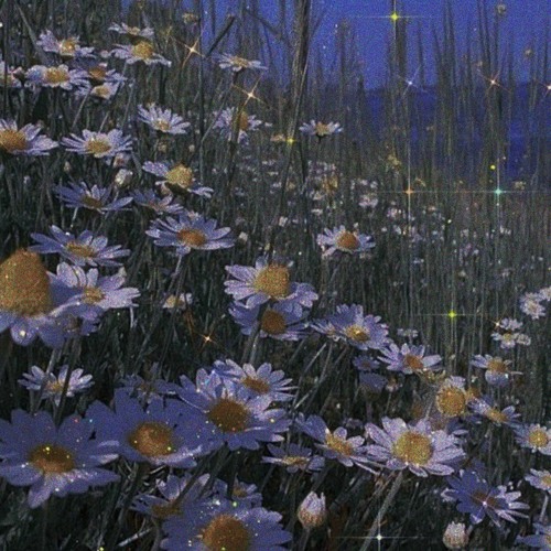 sendflowrs - kerosene (flip)