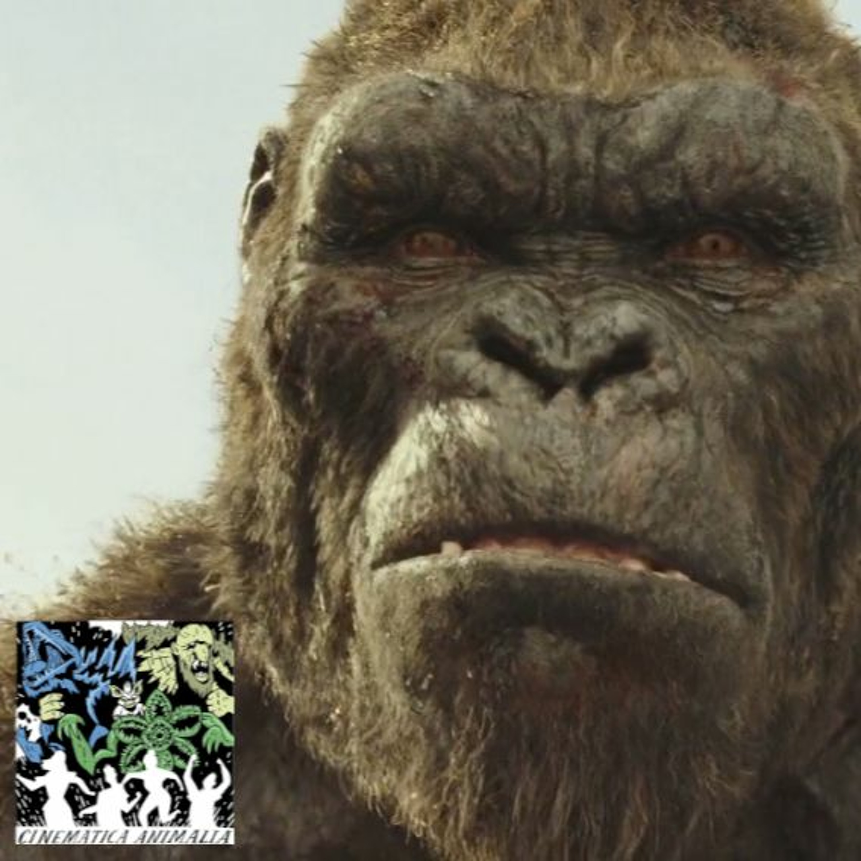 Cinematica Animalia