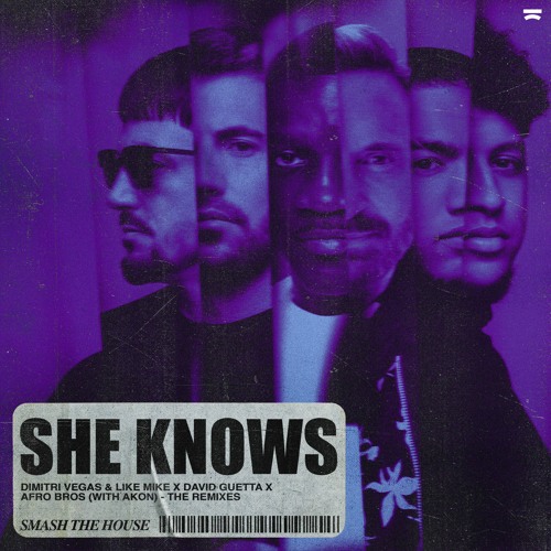 Dimitri Vegas & Like Mike, David Guetta, Afro Bros - She Knows (with Akon) (Melsen Remix)