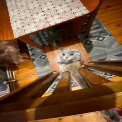 Кровава Луна