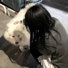 purple (phoenix & a1dn)