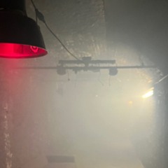 Proxy Season 1 - Philip Morris - recorded in 2023