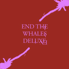 Endless Shells (Prod.SOLevi)