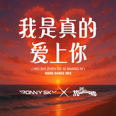 Wo Shi Zhen De Ai Shang Ni 我是真的爱上你 (Ronny Sky & DJ Mushroom)