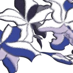 toss2