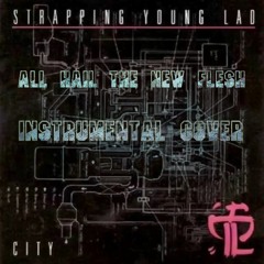 Strapping Young Lad - All Hail The New Flesh instrumental REMAKE/cover