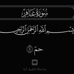 سور الحواميم " حم "