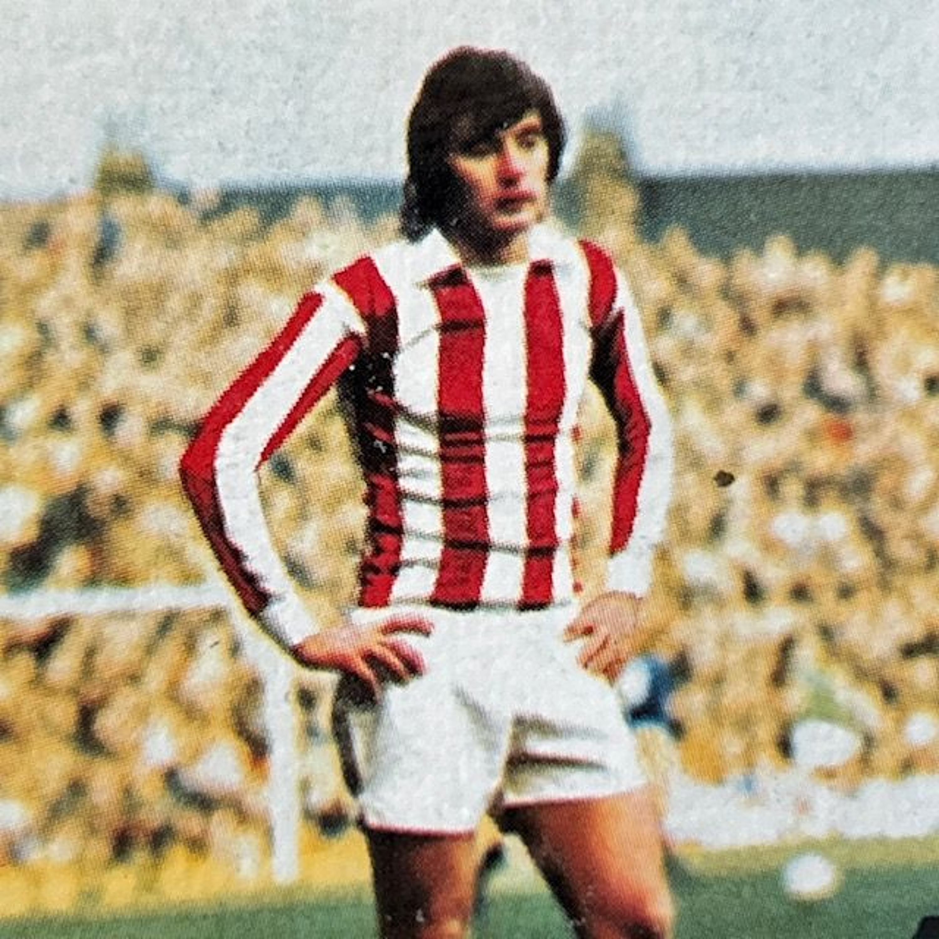 Generasjon Tippekamp