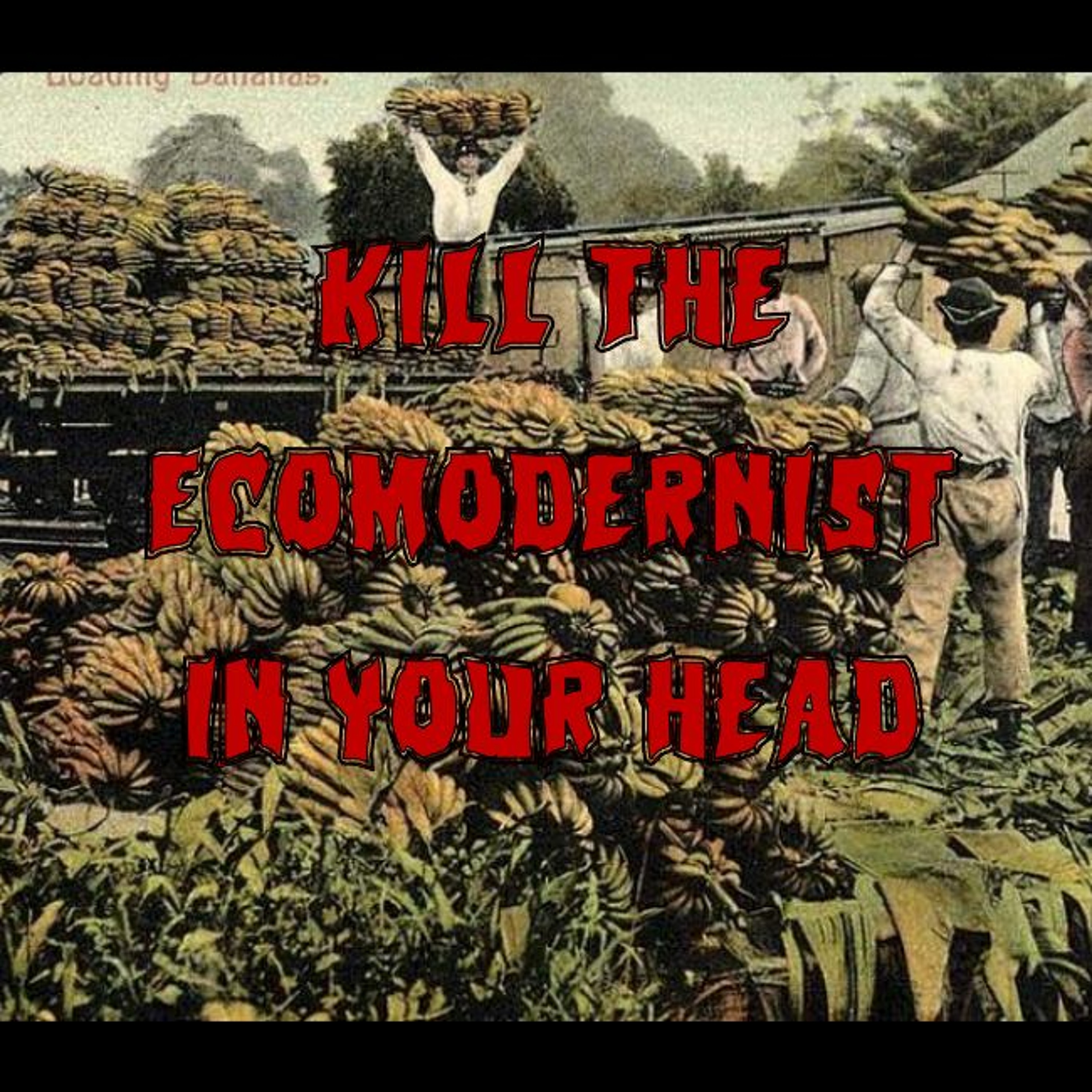 *Unlocked* – Kill the Ecomodernist in Your Head