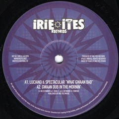 What Gwaan Bad (Seyms Remix) - Luciano & Spectacular - OLD TUNES  - FREE D/L