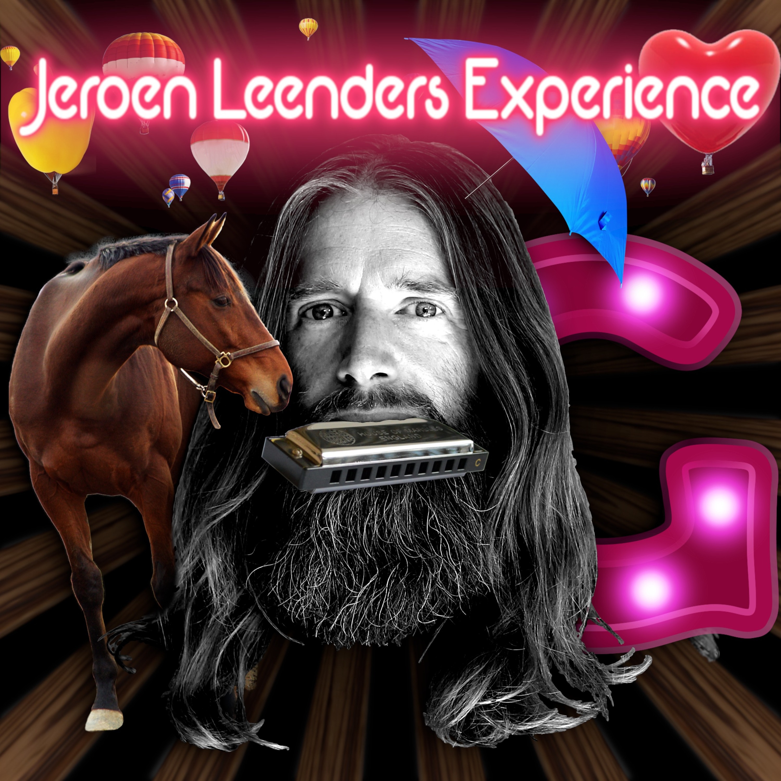 Jeroen Leenders Experience