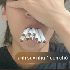 100 điếu twerks