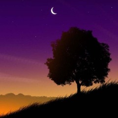 All Songs PL #1 🦋