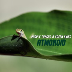 Atmonoid - Purple Fungus & Green Skies | EP (2022)