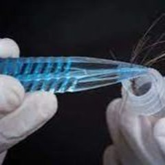 Que aporta el cabello humano a los forenses?