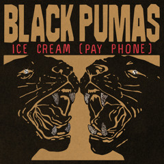 Stream Touch The Sky by Black Pumas | Listen online for free on SoundCloud