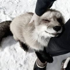 i still love you w/ jomie