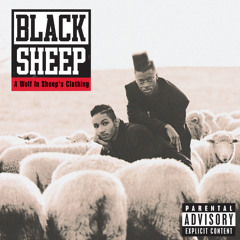 洋楽 Black Sheep - The Choice Is Yours Stream The Choice Is Yours (Revisited) by Black Sheep