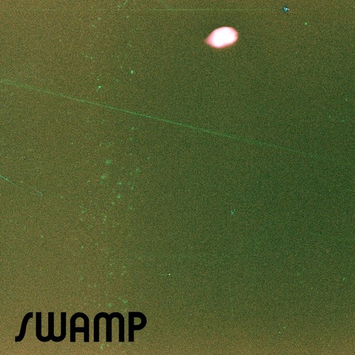 Swamp