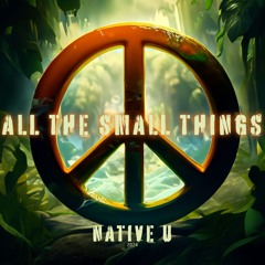 Native U - All The Small Things