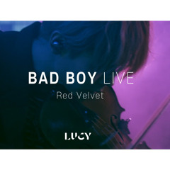 LUCY 루시 BAD BOY cover [원곡: 레드벨벳]
