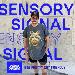 Sensory Signal Mix Vol. 002 - Pretty Gay Friendly