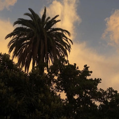 PyramidsGoldMoneyShower