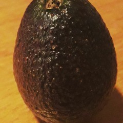 Flextronic - Tropical Places Interlude