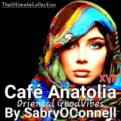 Cafe Anatolia XVII By SabryOConnell