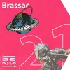 JustCast 21: Brassac DJ mix artwork - Electronic music tracklist cover image