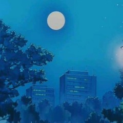 MYSTERY OF THE NIGHT (夜の謎)
