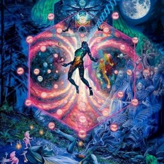MindTrip #5