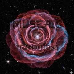 TransitionS