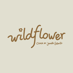 wildflower - billie eilish (cover)