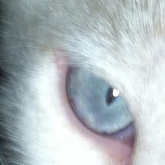 @dakumon.000666 - seeeeingggAll {pr0d. diewxll}