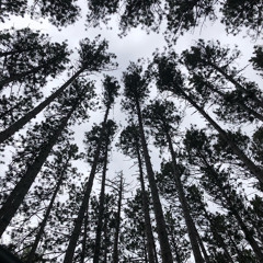 Talk2MeNice - PROD.WHXTESVPRA