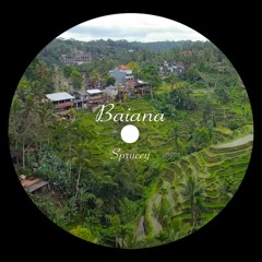 Baianá - Sprucey