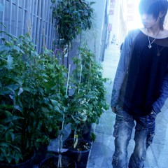 fall like a leaf [vid in desc]
