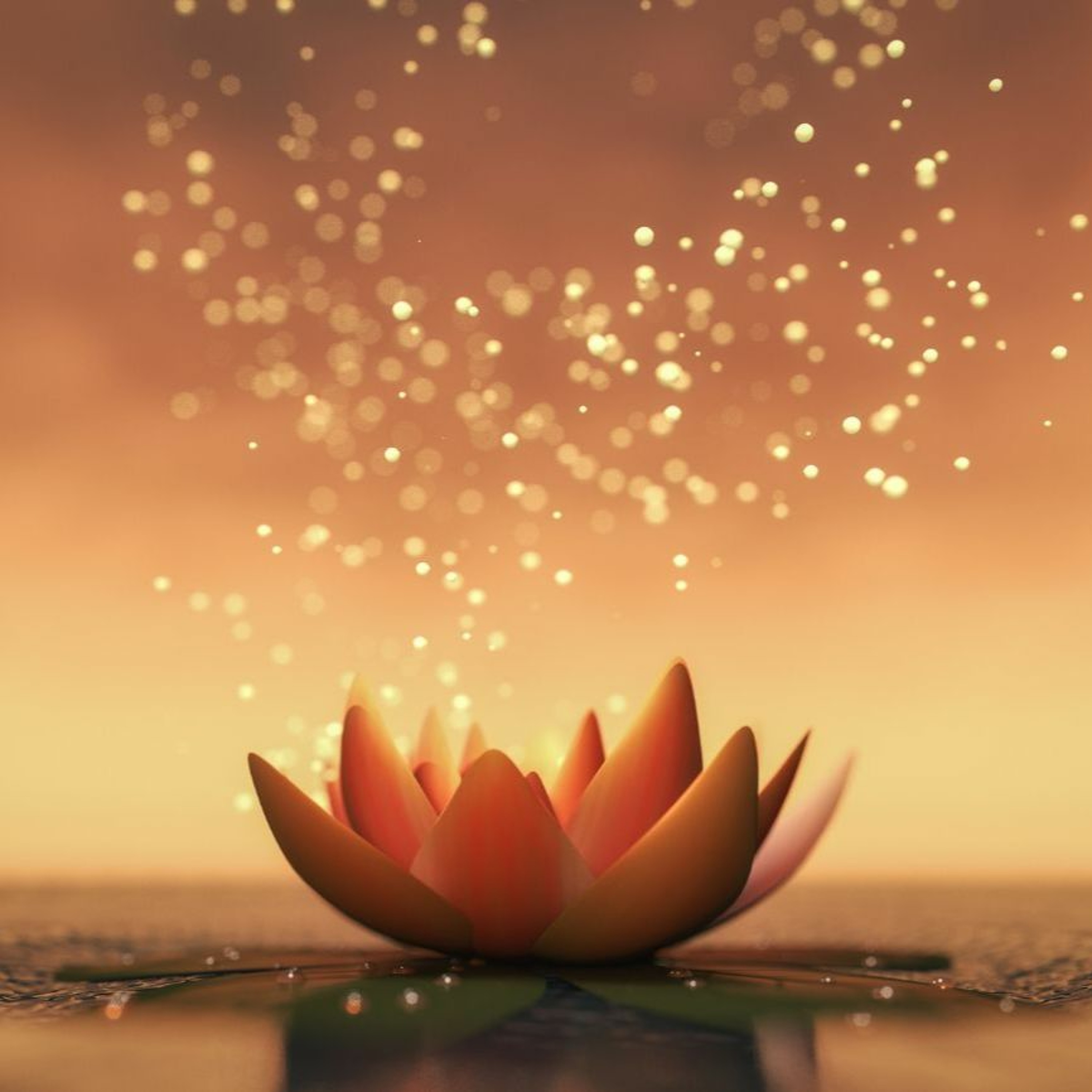 Best of Awake in the World: Lotus Sutra, Part 3 - Upaya: Skill and Wisdom