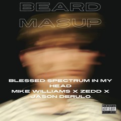 Blessed Spectrum In My Head - Mike Williams X Zedd X Jason Derulo (BEARD MASHUP)