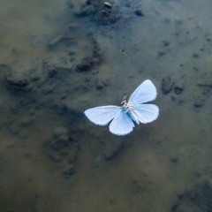 Girl In Red - We Fell In Love In October (Slowed+Reverb)