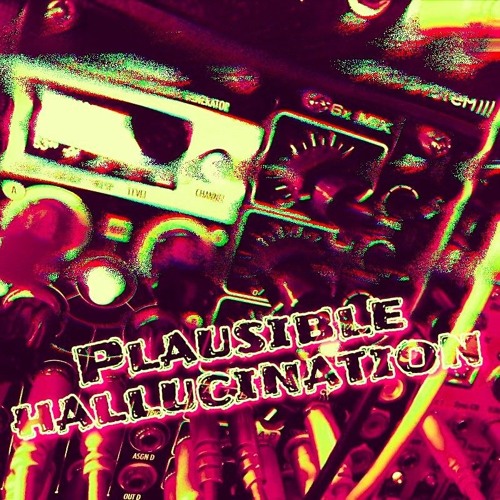 Plausible hallucination (Modular livetrack)