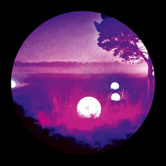 Jungle Mix 06.2025