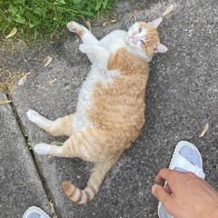 Casualism #4 w/ Theodore Cale Schafer (30/05/21)