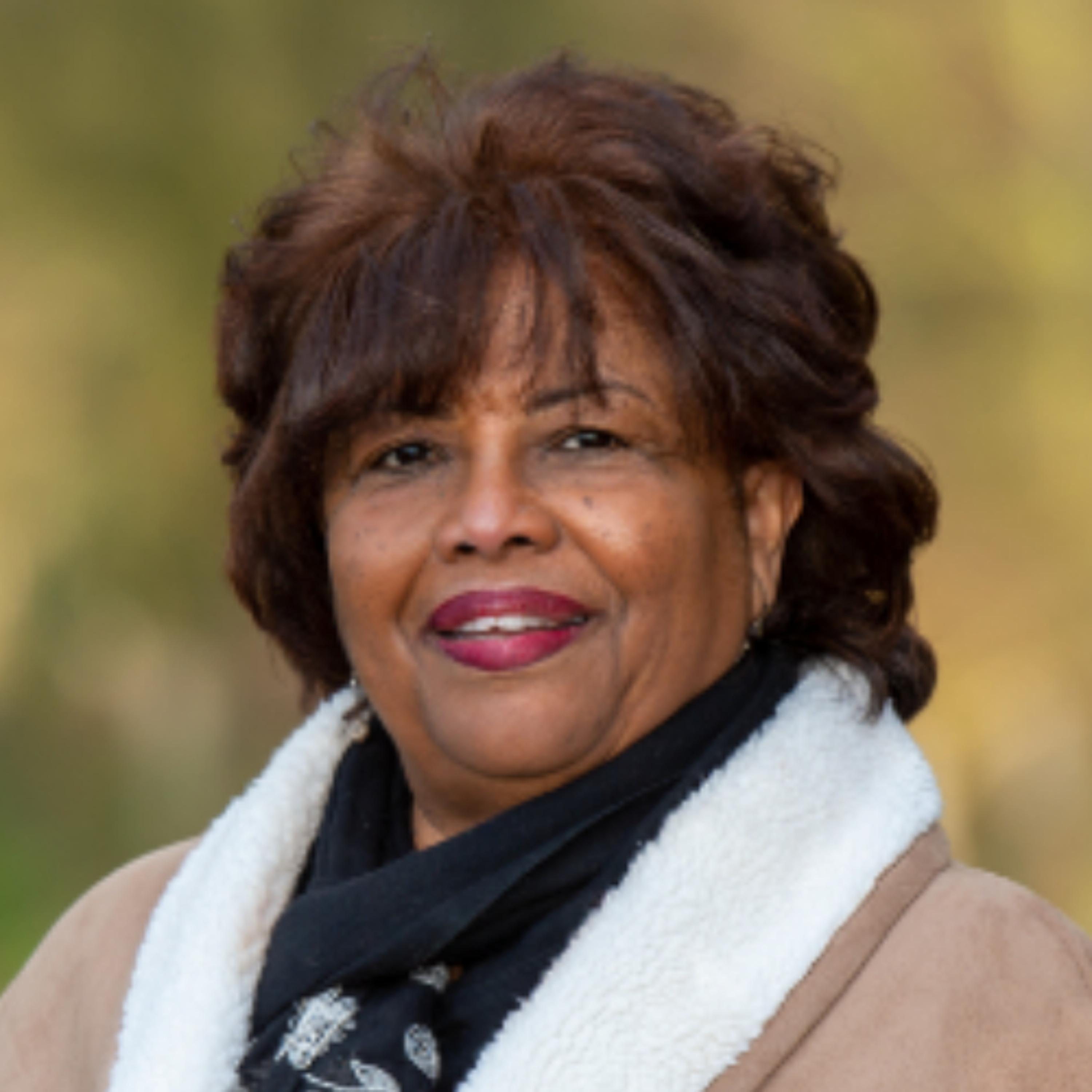 Participatory Digital Storytelling for Mental Health in Guyana: An Interview with Dr. Anne Mitchell